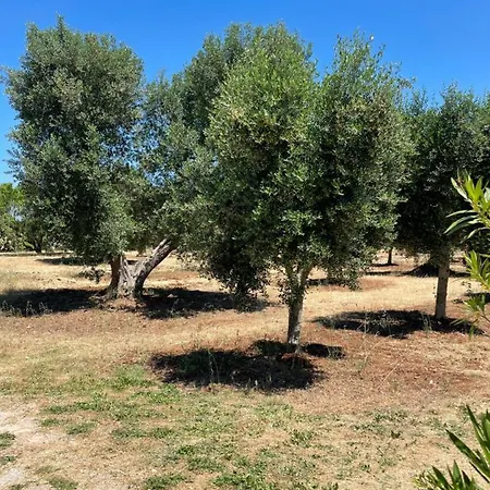 Trulli Delle More * Ceglie Messapica