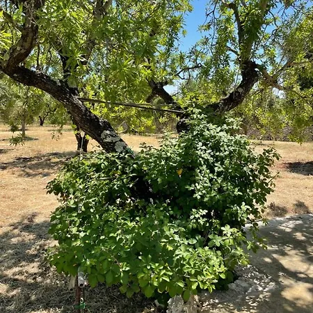Trulli Delle More Holiday home